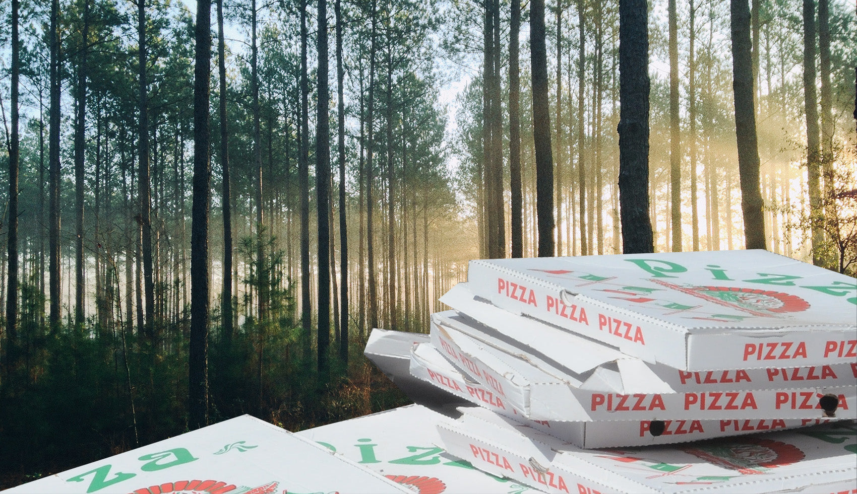 Why are we making pizza boxes out of endangered trees?
